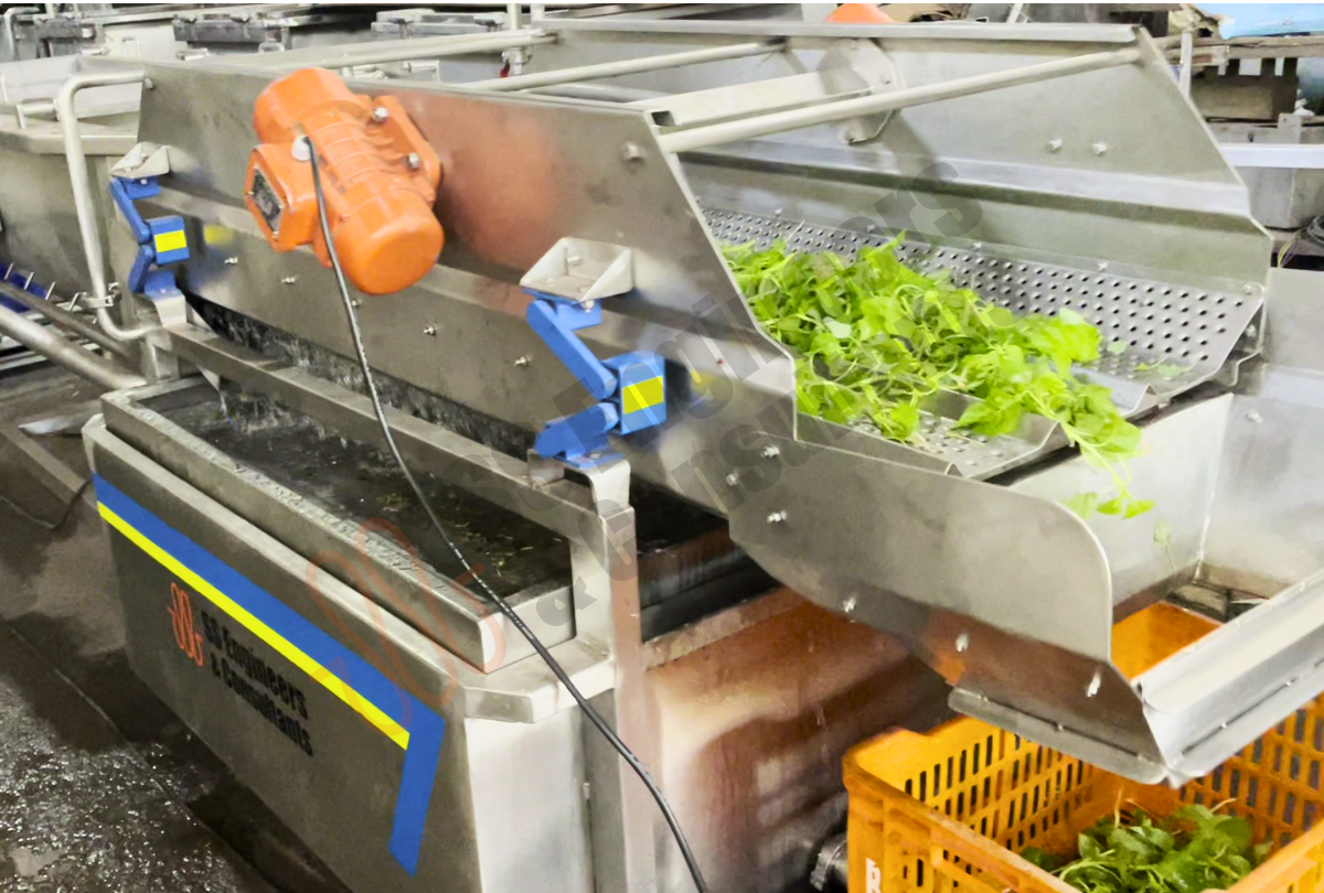 Leafy Green Vegetable Washing Line